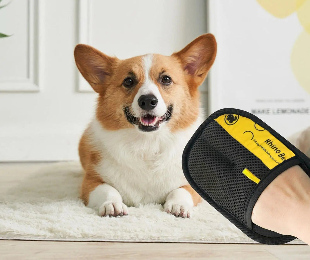 2 Guantes Quitapelos para Mascotas 🐾 | Elimina Pelo Fácil y Rápido